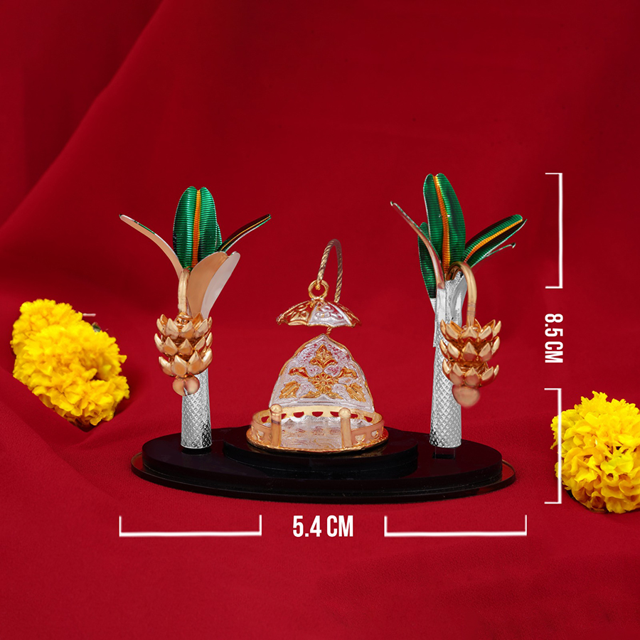 WhatsApp Image 2025-03-27 at 5.00.36 PM